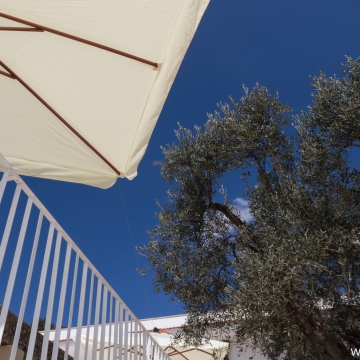 Masseria Bufolaria - Ugento
