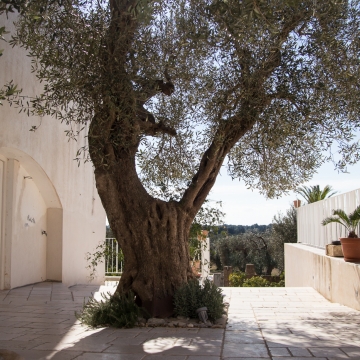 Masseria Bufolaria - Ugento